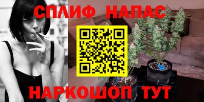 кокс Бердск