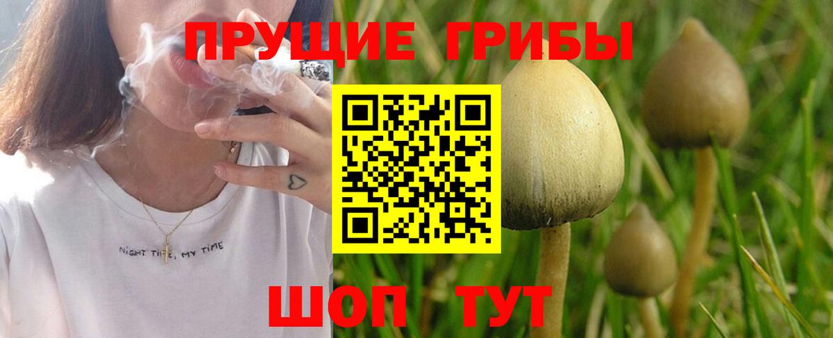 Красноармейск  Галлюциногенные грибы мицелий  как найти закладки  Вход с VPN 